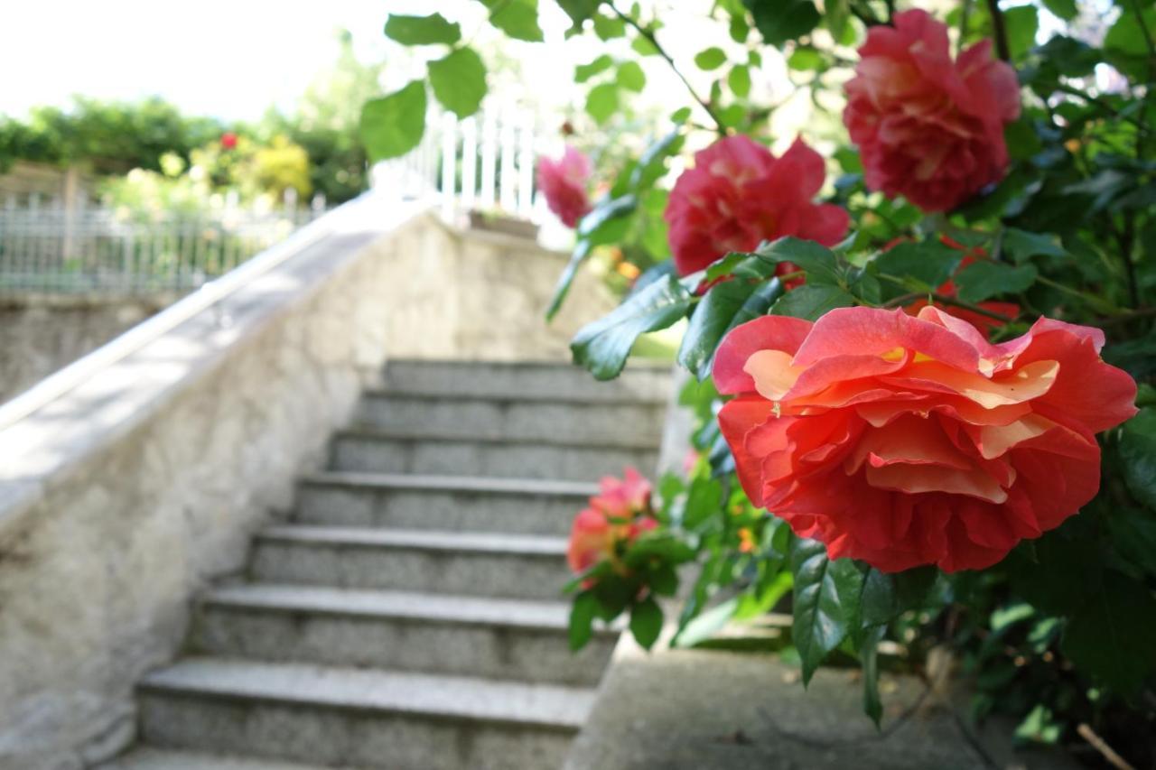 Villa Sonnenstrahl Mariánské Lázně Extérieur photo